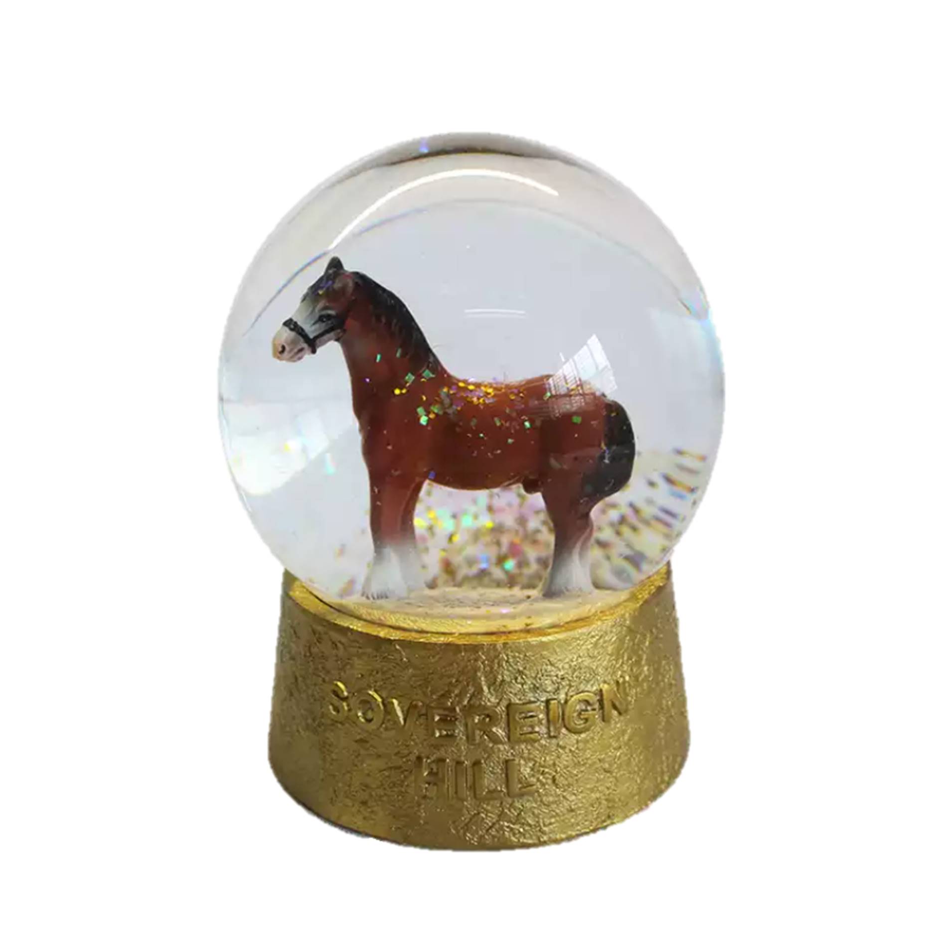 Custom Horse Souvenir Snow Globe 2