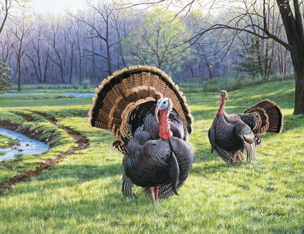 Triumph® Calendars Wildlife Art Calendar 50