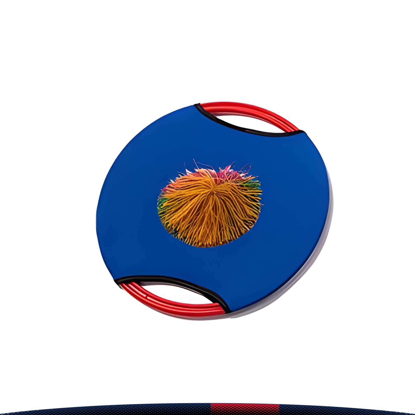 Ball Throwing Disc 5