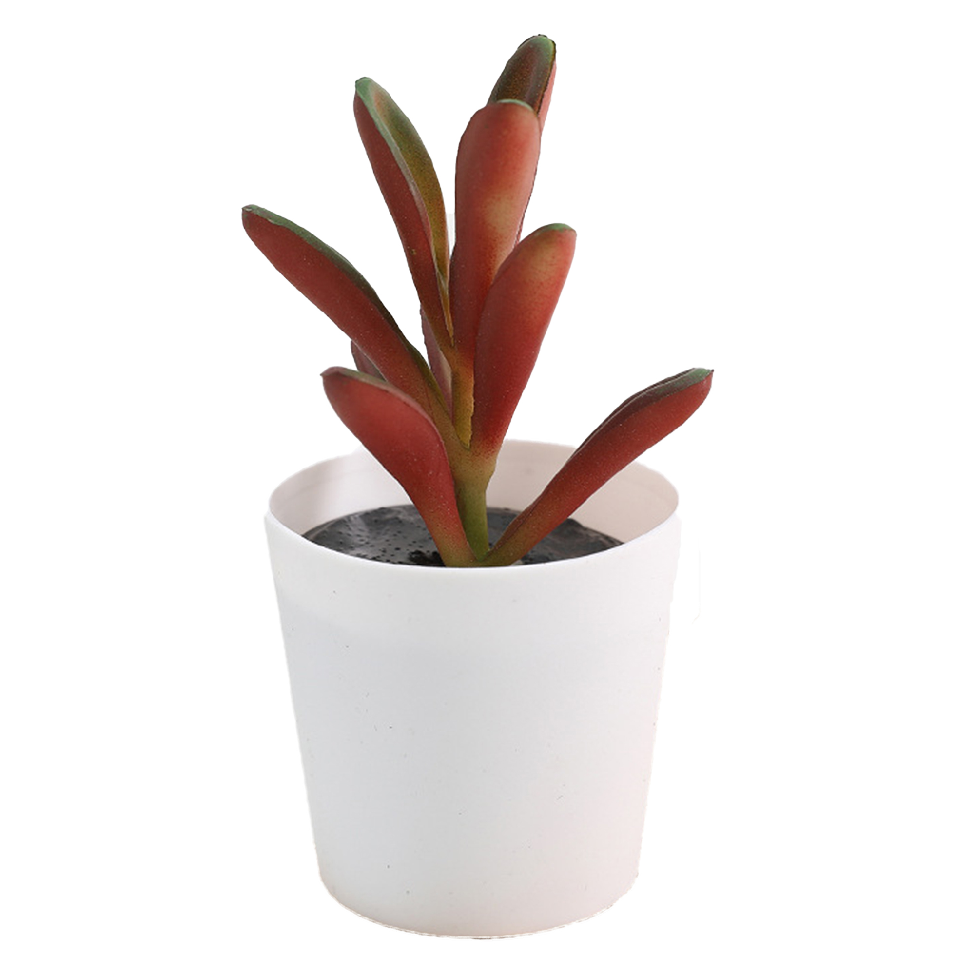 Mini Succulent Potted Plant Set for Home Decor 12