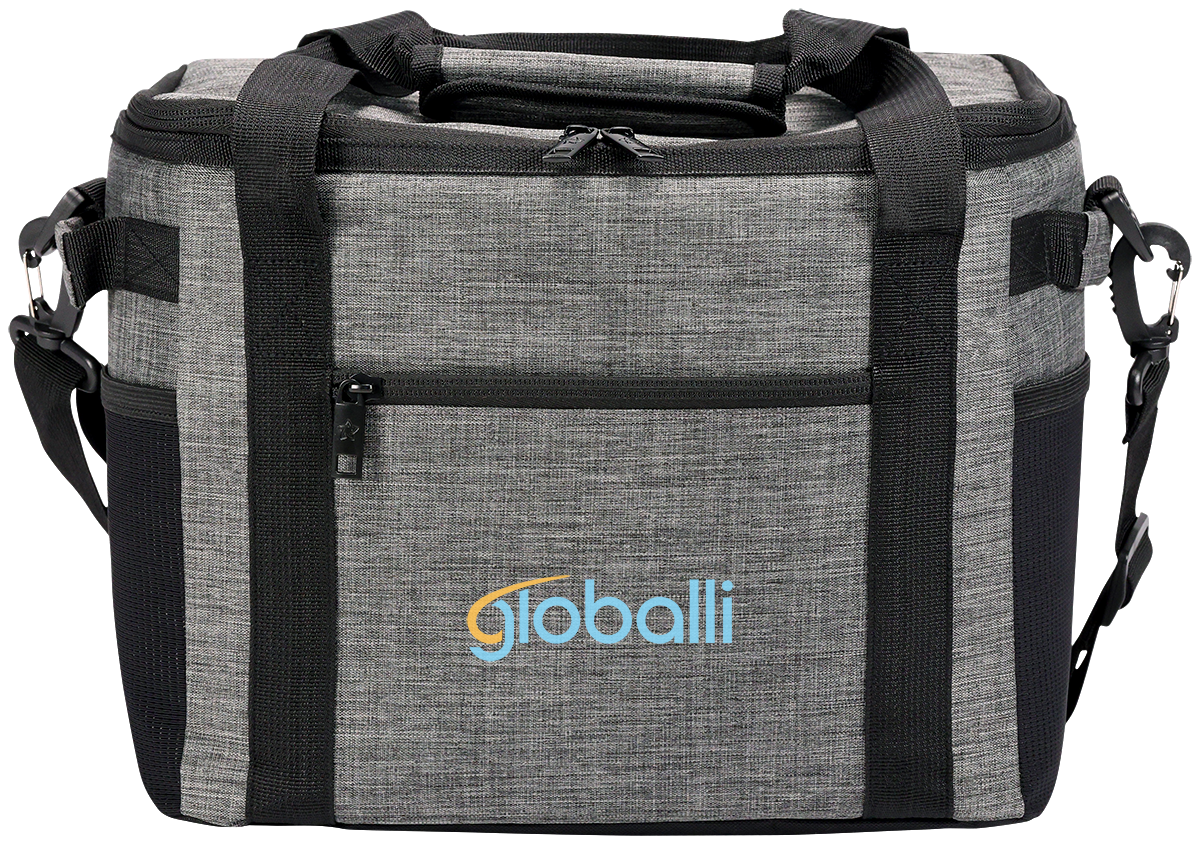 Alpine 24 Can Cooler 15