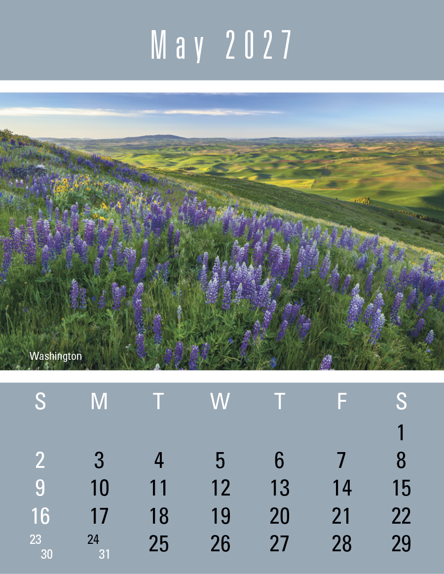 Triumph® Calendars Press-N-Stick Scenic Calendar 37