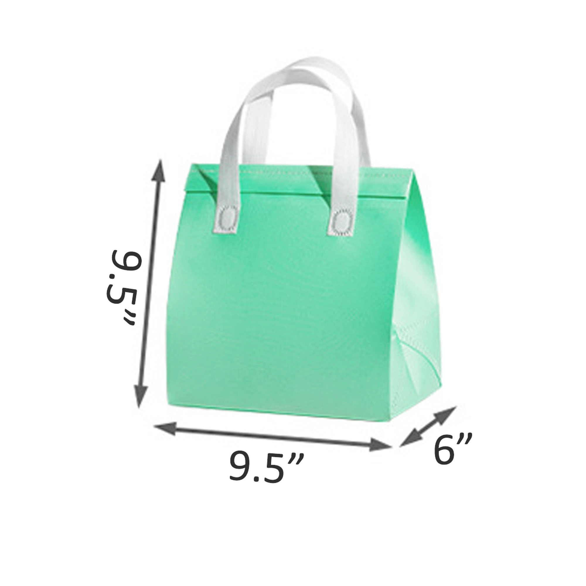Insulated Lunch Tote Bag MOQ100 3