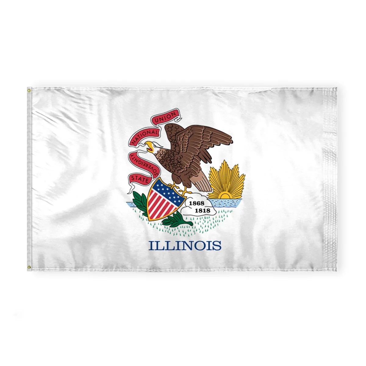 12"x18" to  8'x12'  Illinois Nylon Flags 3