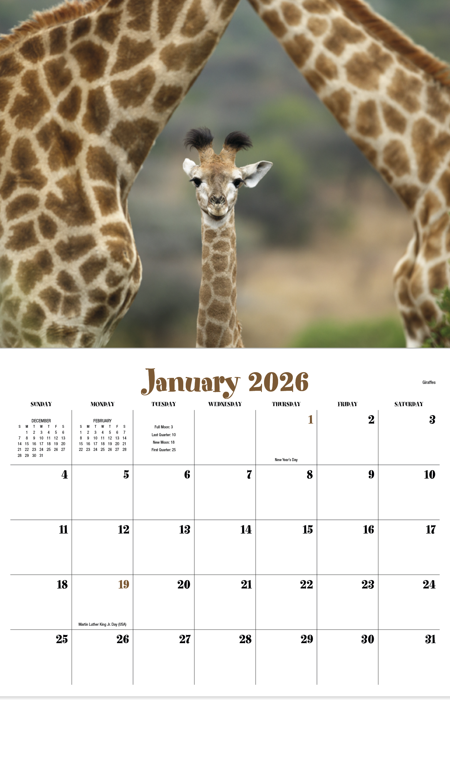 HotLine® Products Animal Babies Appointment Calendar - Stapled 38