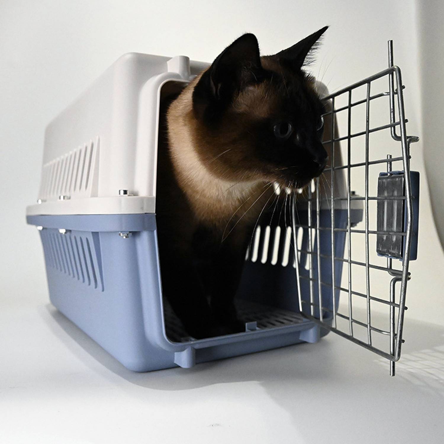 ABS Pet Travel Carrier 2