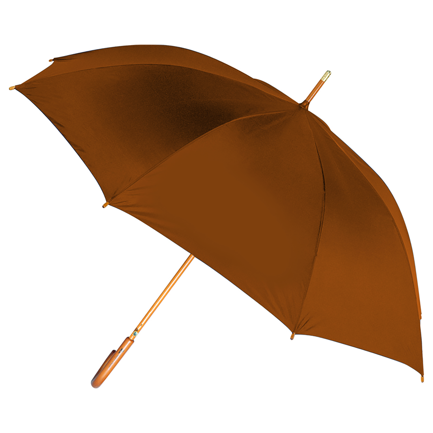 The Classic Curve Stick Umbrella 2