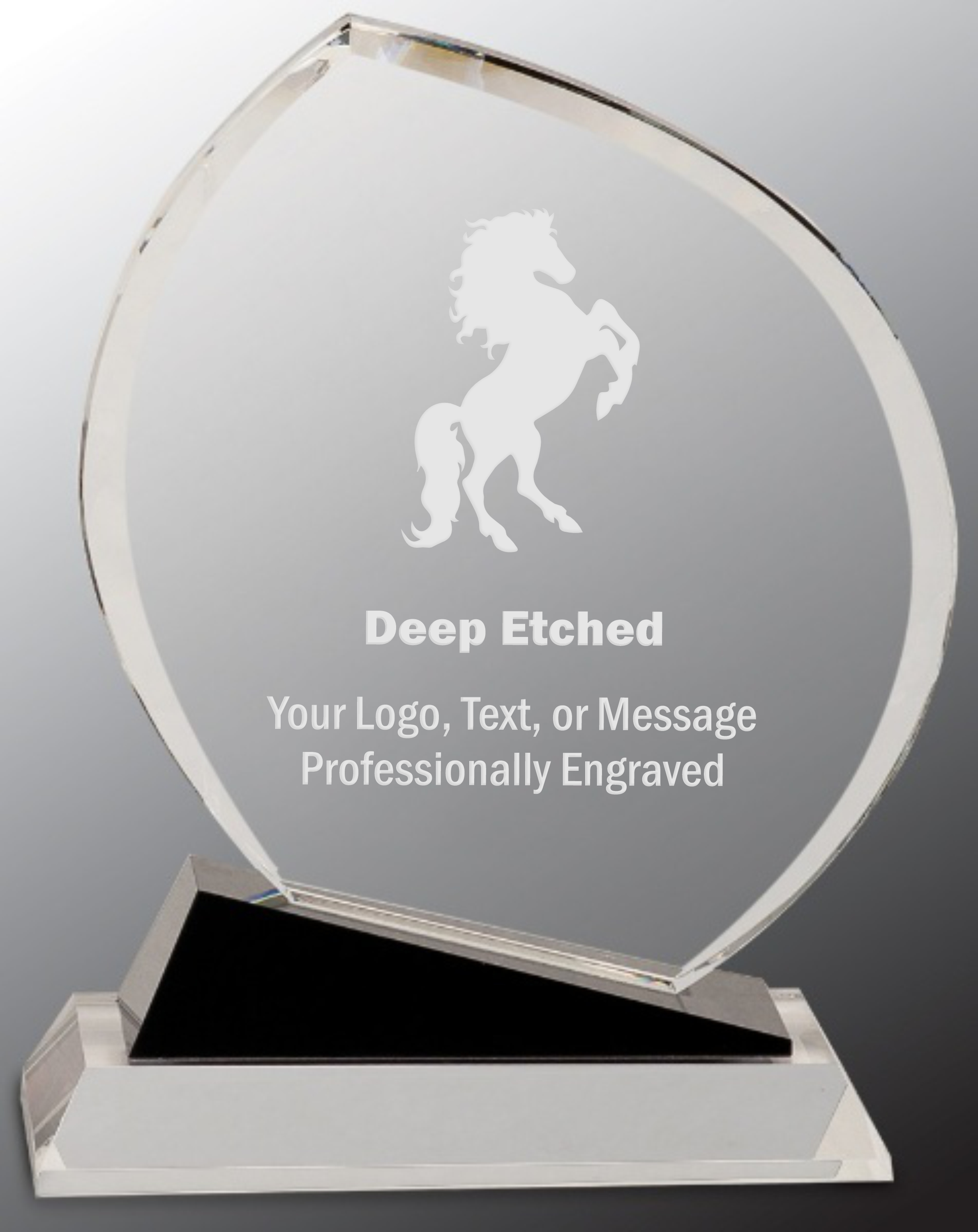 9 1/2" Crystal Award Oblong with Black Accents 3