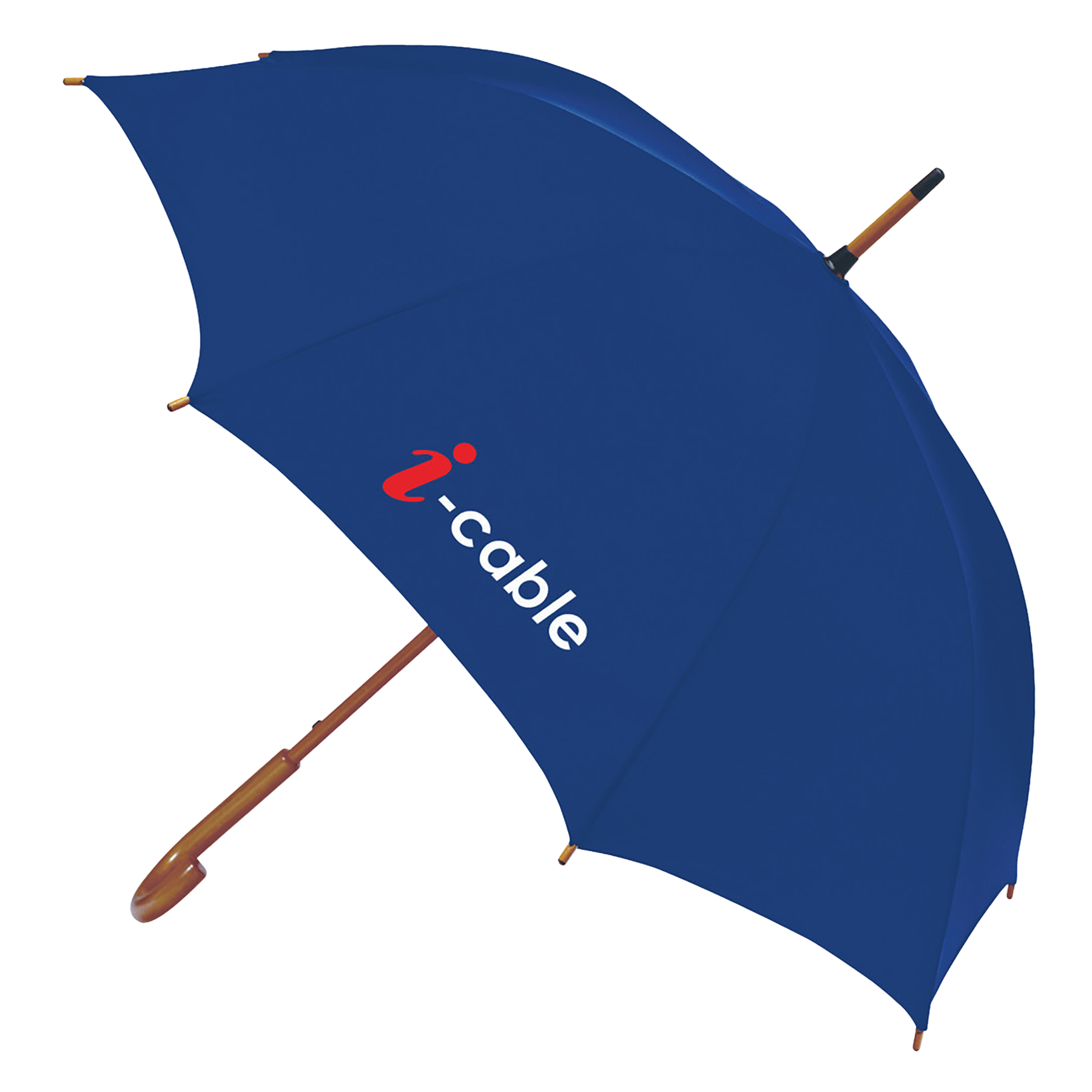 EXECUTIVE UMBRELLA: 48" Arc with Hook Handle 3