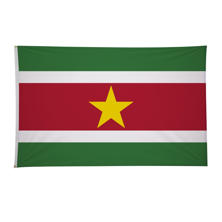 5' x 8' International Flags 135