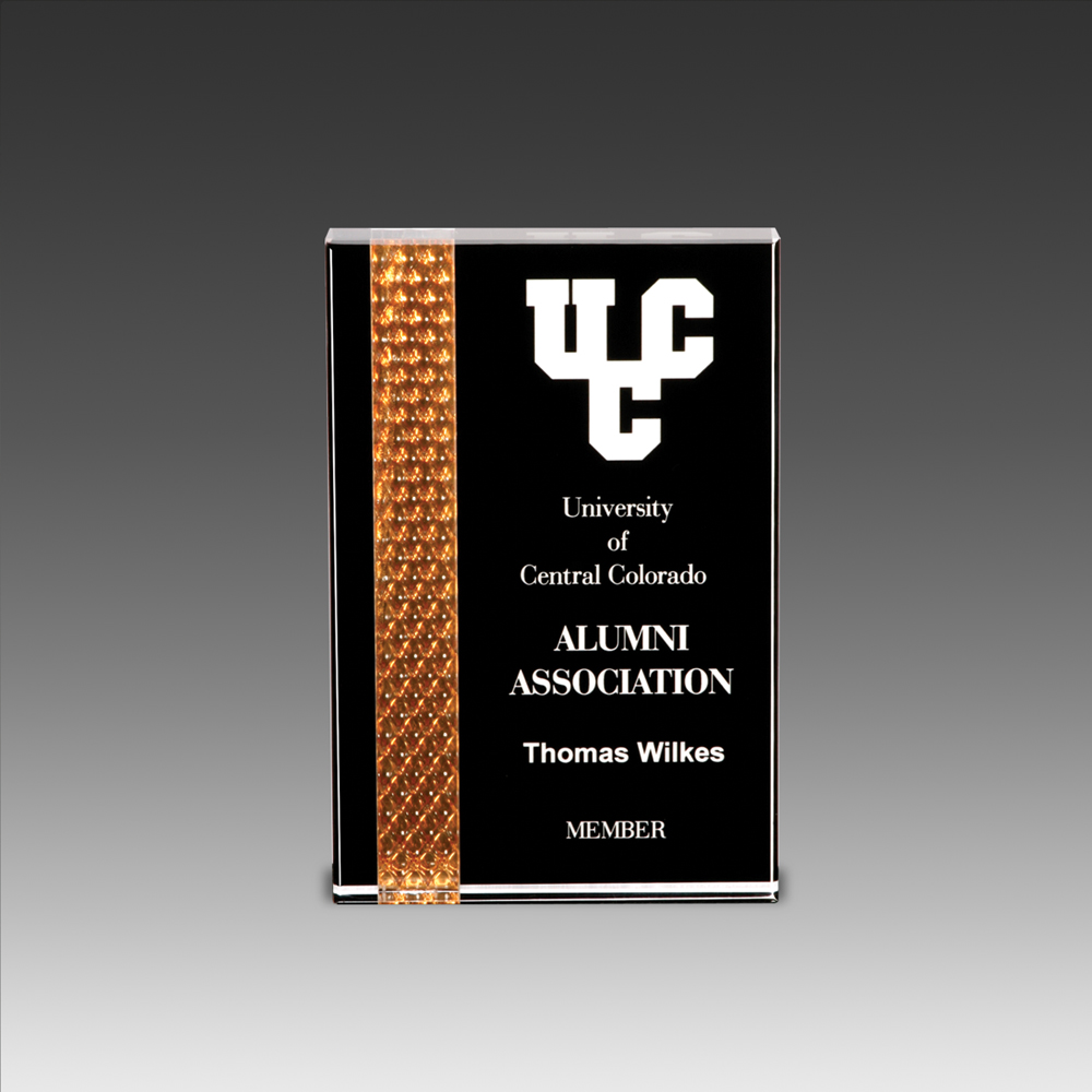 4.5" x 7" Prismatic Award w/Reflective Prism Inlay 2