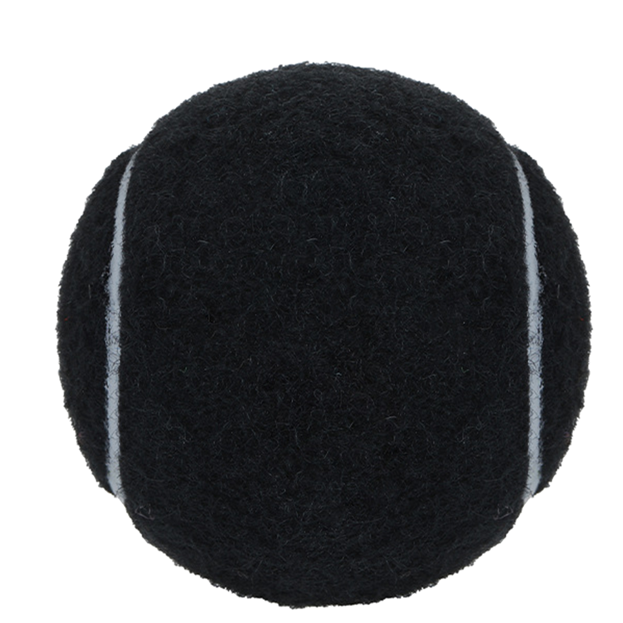 Customizable Dog Play Ball 3