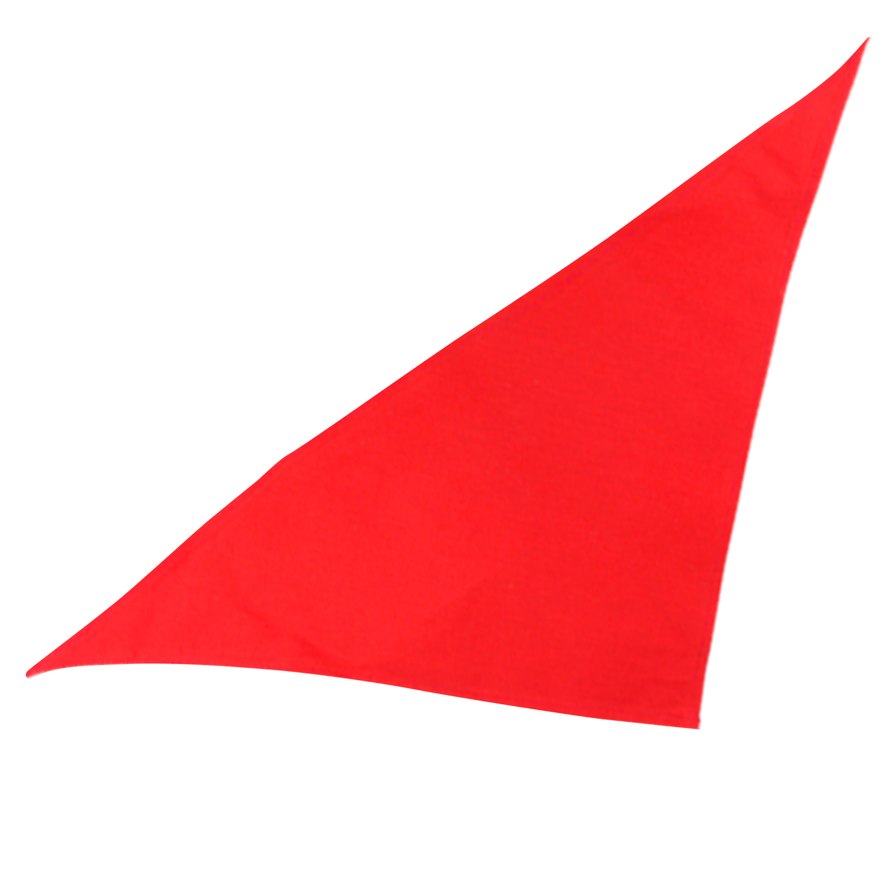 Triangle Bandana 2