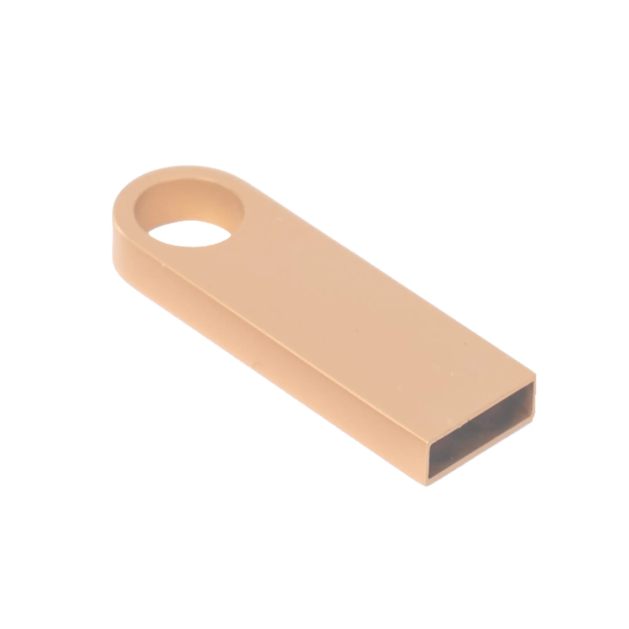 Flash Drive 1