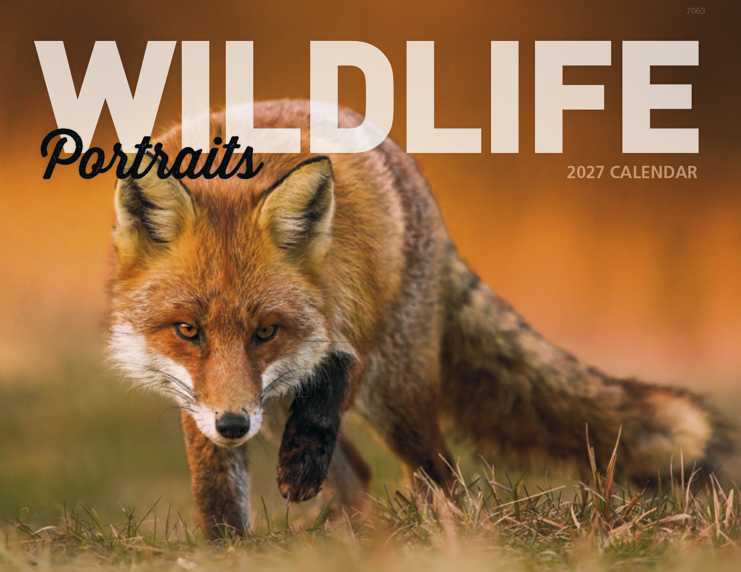 Good Value™ Wildlife Portraits - Window Calendar 41