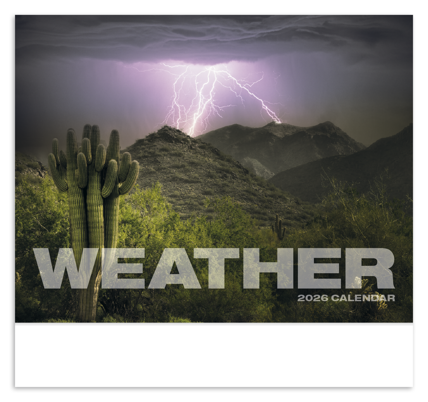 HotLine® Products Weather Almanac Appointment Calendar - Stapled 21
