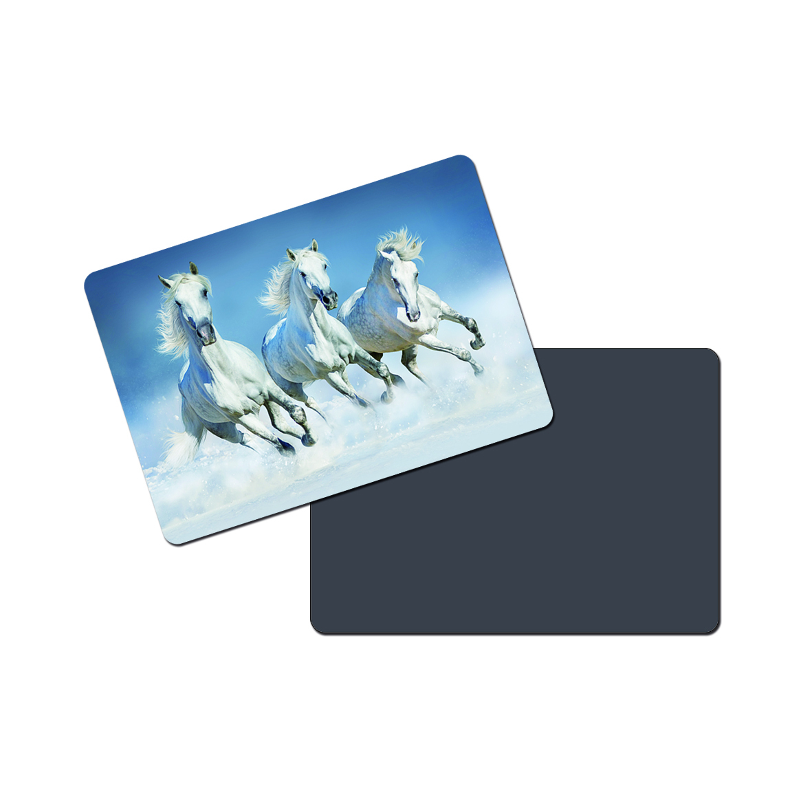 Business Card Magnet 3