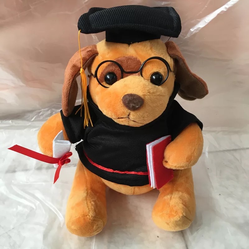 Plush Bear w/ Embroidered Paws and T-Shirt 1