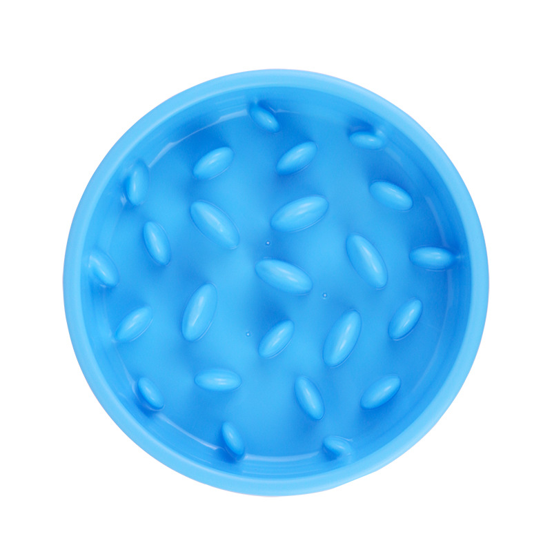 Slow Feed Pet Dog Bowl 5