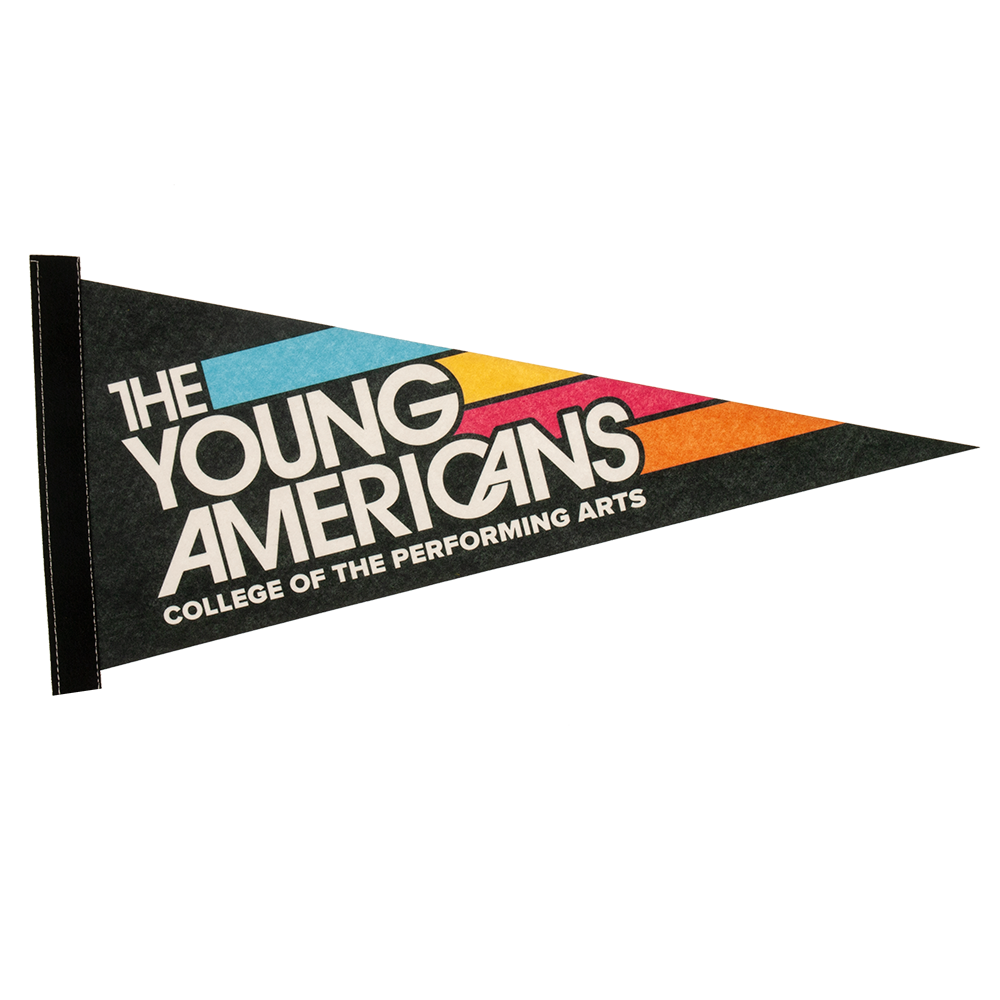 8" x 18" Full Color Felt Pennant 15