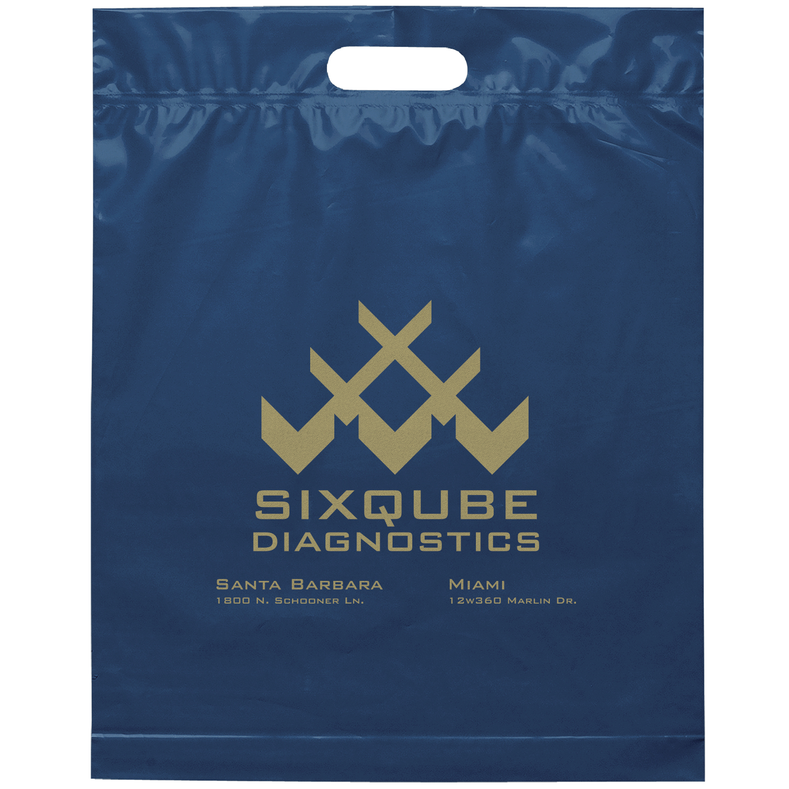 Die Cut Handle Bag - 15W x 19H x 3 - Flexo Ink Print 17