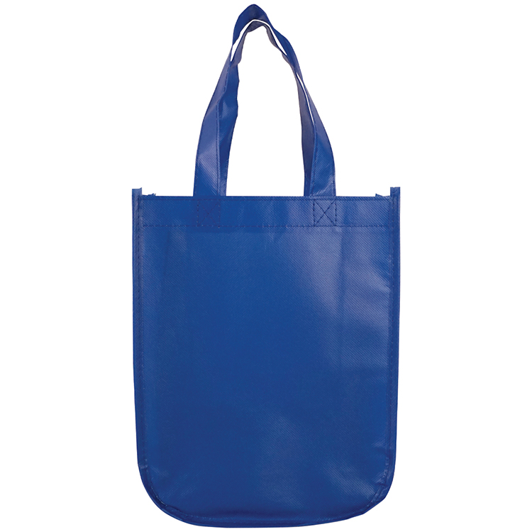 Sundale Small Matte Laminated Tote Bag 23