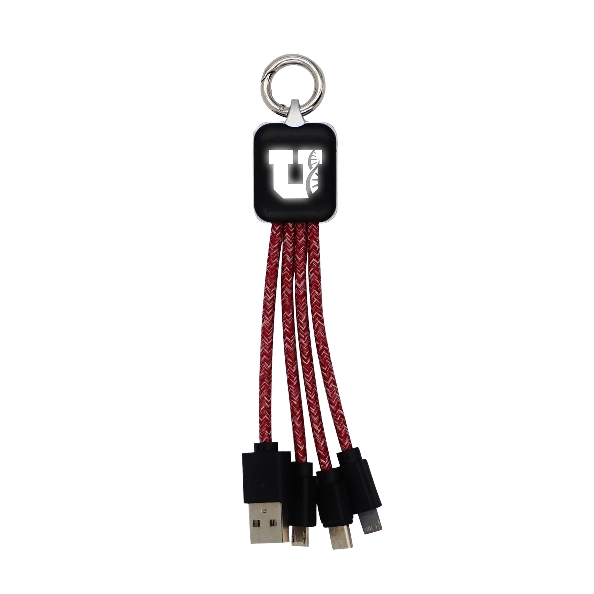 Ridge Logo Light Up Cable with Type C USB 12