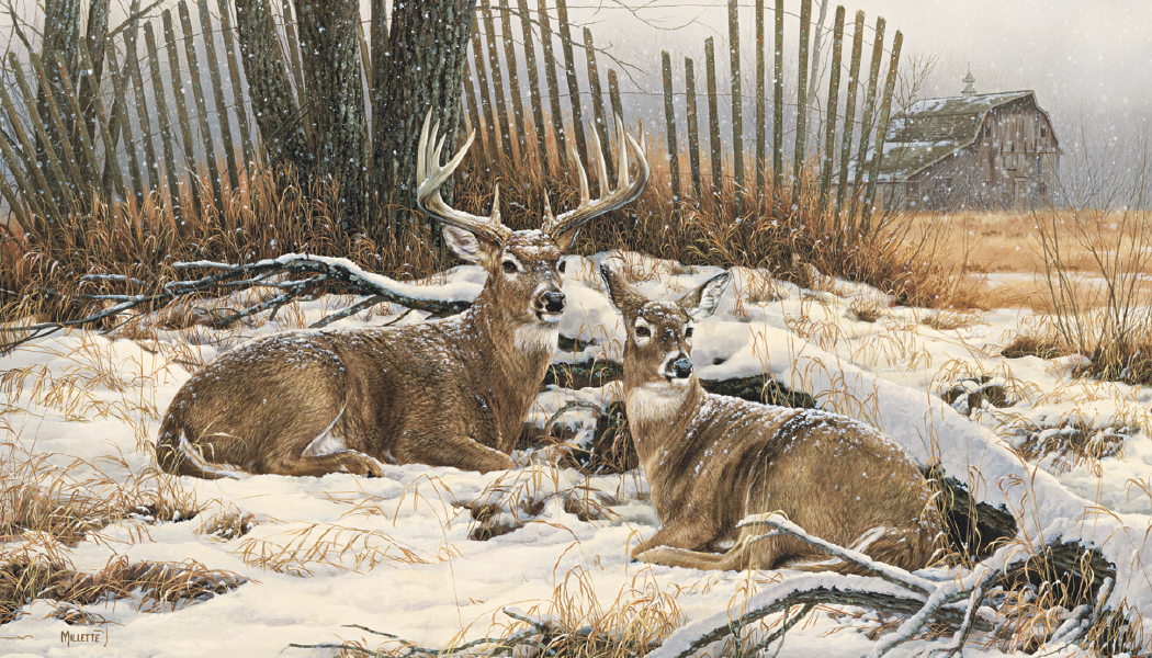 Triumph® Calendars Wildlife Art Calendar 16