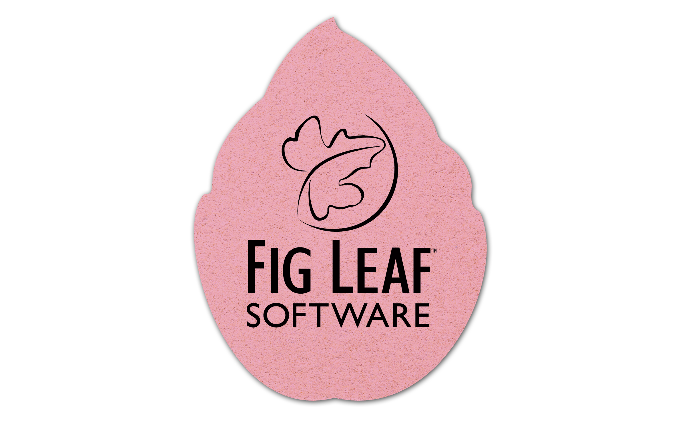 Leaf Compressed Sponge 8