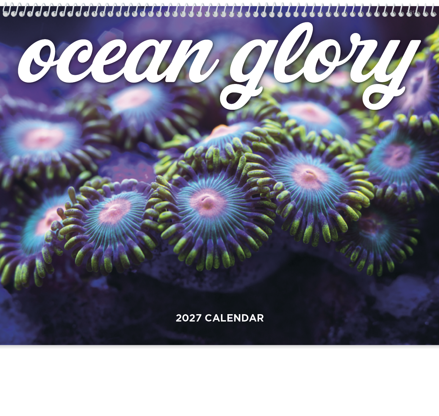 Good Value™ Ocean Glory - Spiral Calendar 68