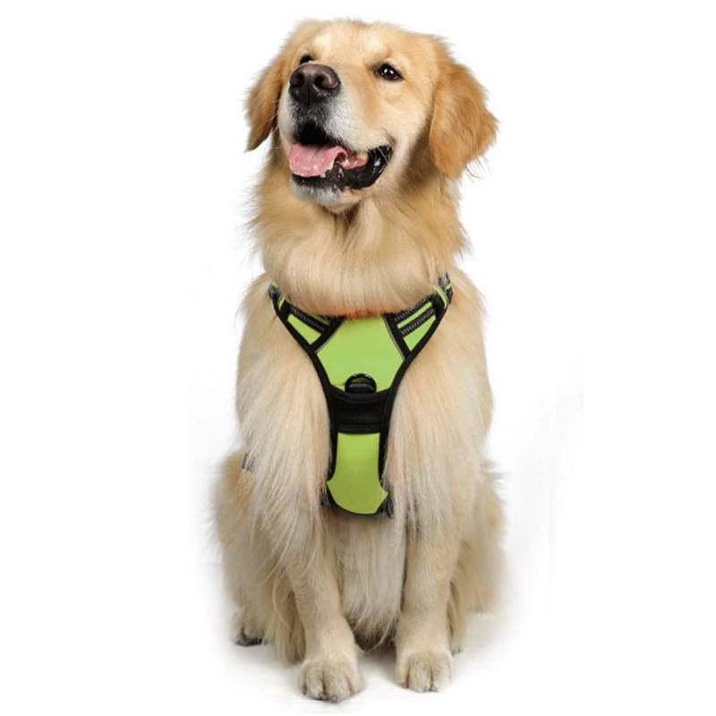 Adjustable Dog Harness 7