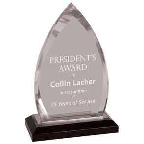 Impress Acrylic Oval Award 3