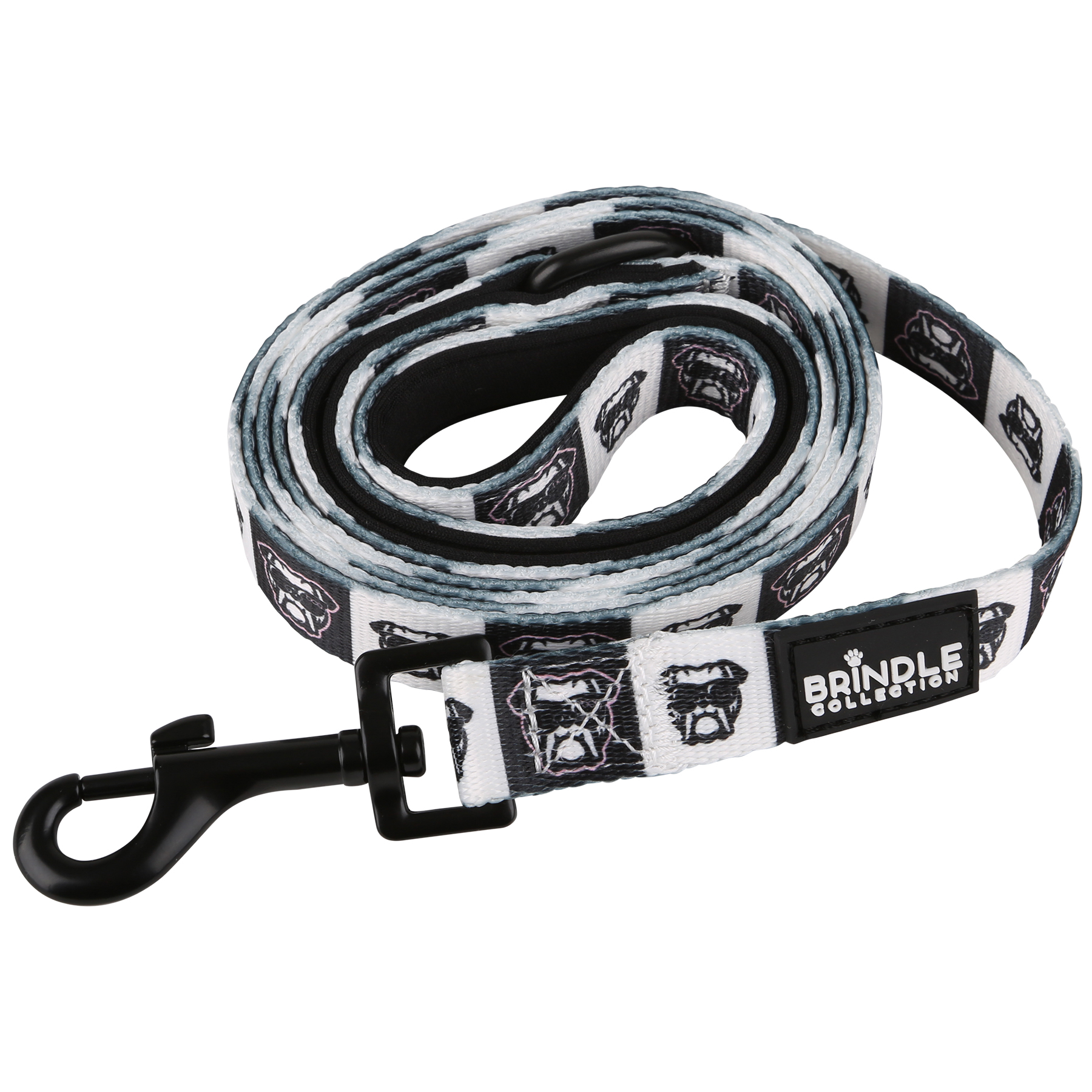 Dog Leash With Neoprene Backing: Regular