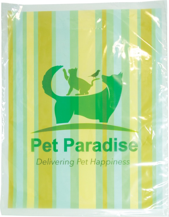 Digital Full Color 2-Sided Clear Plastic Bag (12"x 15")