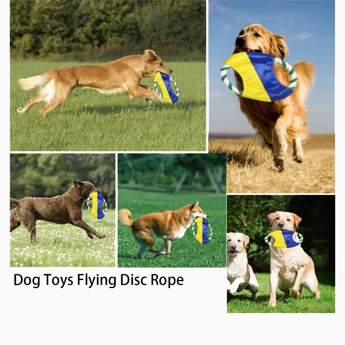 Pet Training Playing Toy Cotton Rope Dog Flying Saucer 4