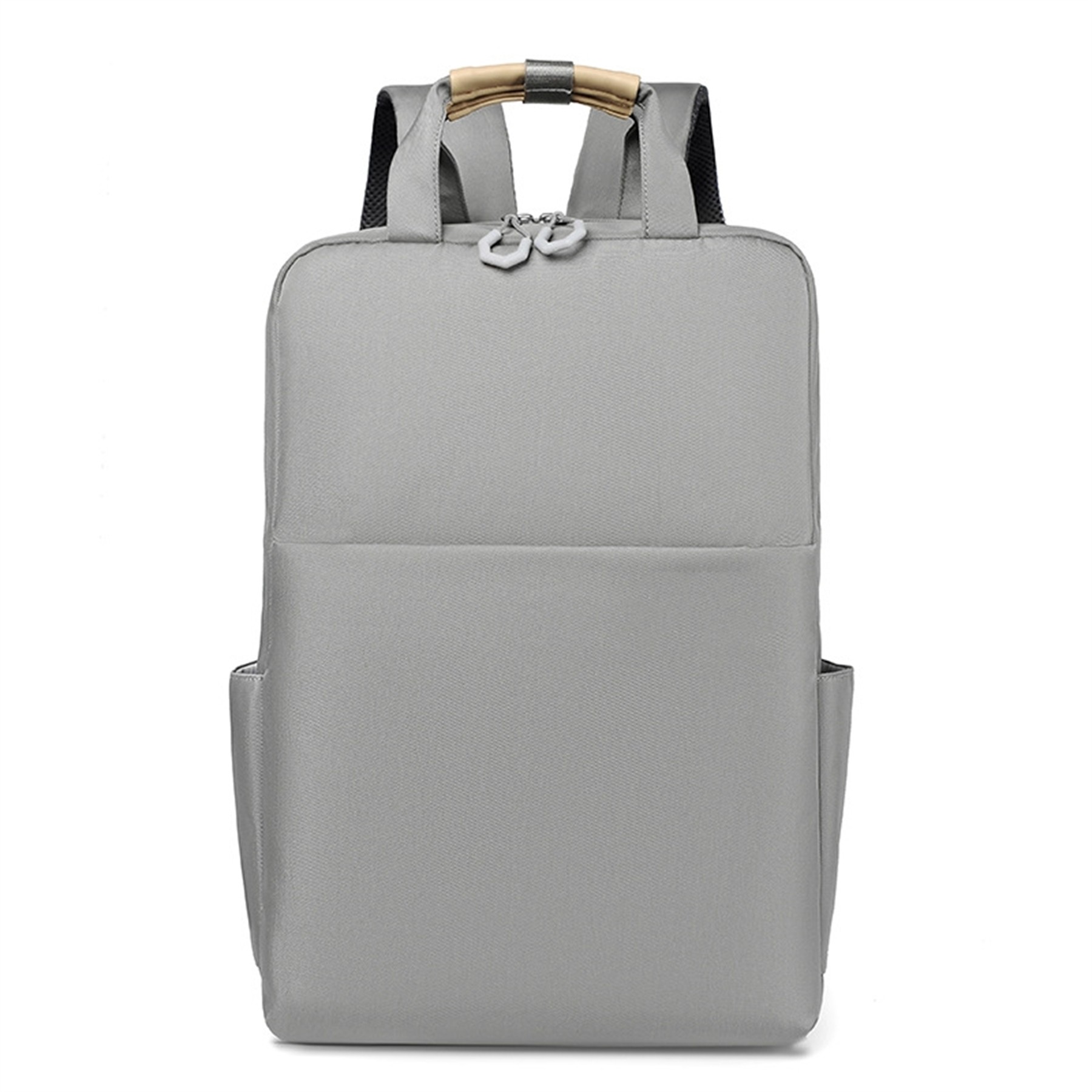 Computer Backpack 1