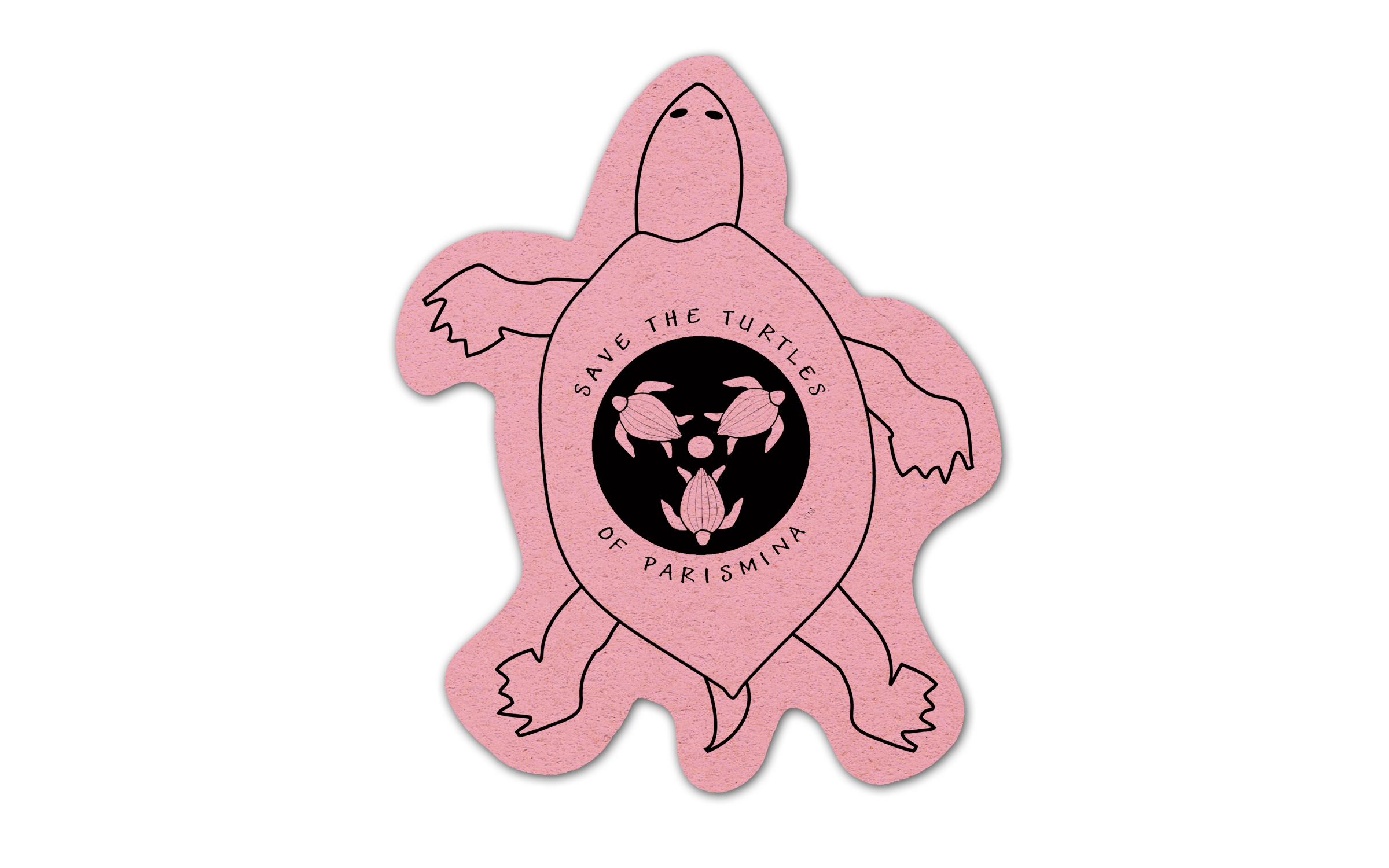 Turtle Compressed Sponge 5