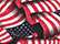 USA-Made Doggie Bandana - 3905 17