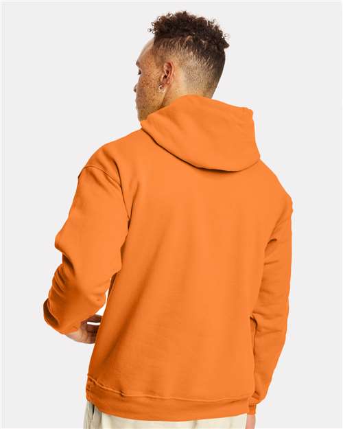 Unisex EcoSmart® Hooded Sweatshirt - P170 223