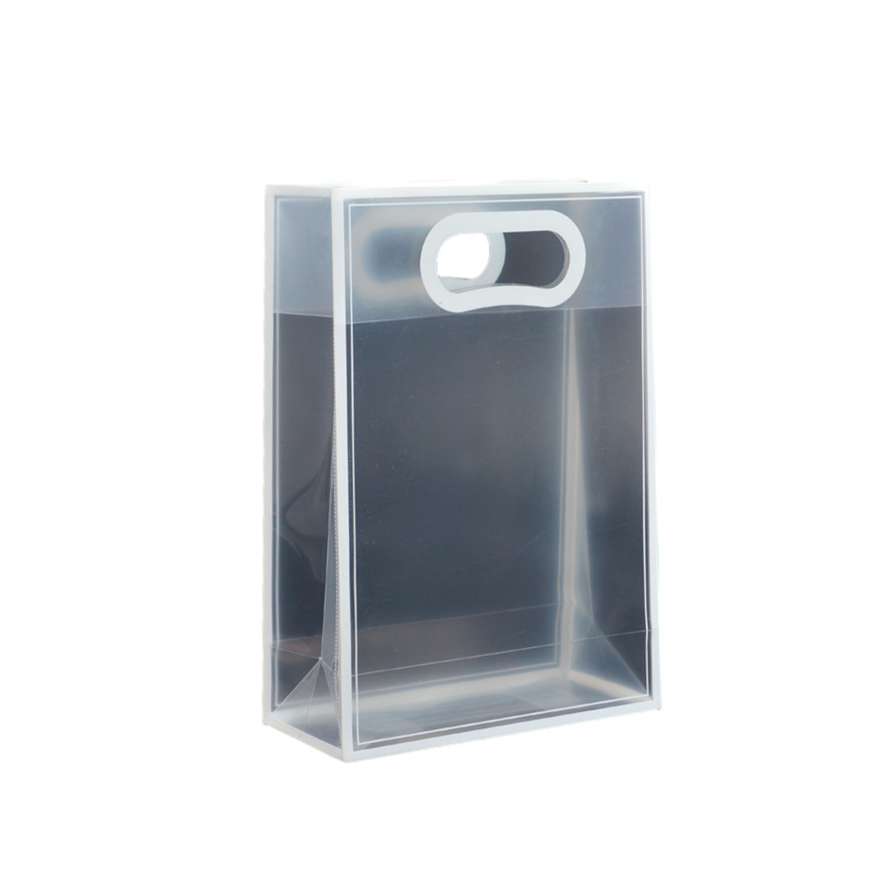 Transparent Frosted Tote Bag 4