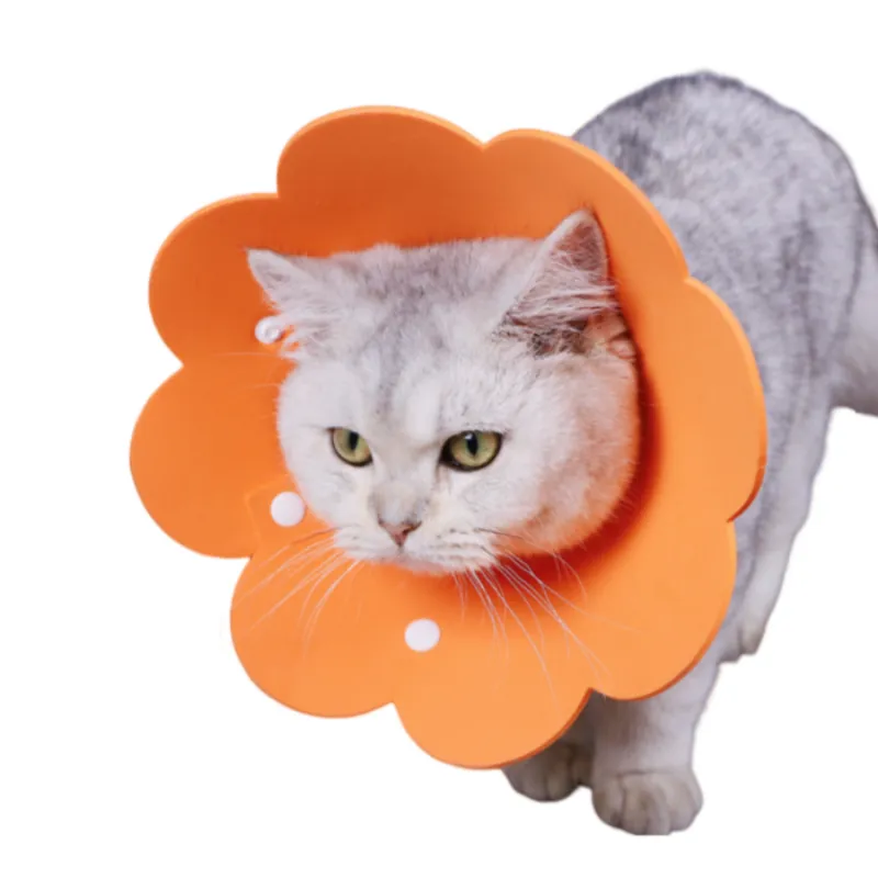 Pet Elizabeth Collar 2