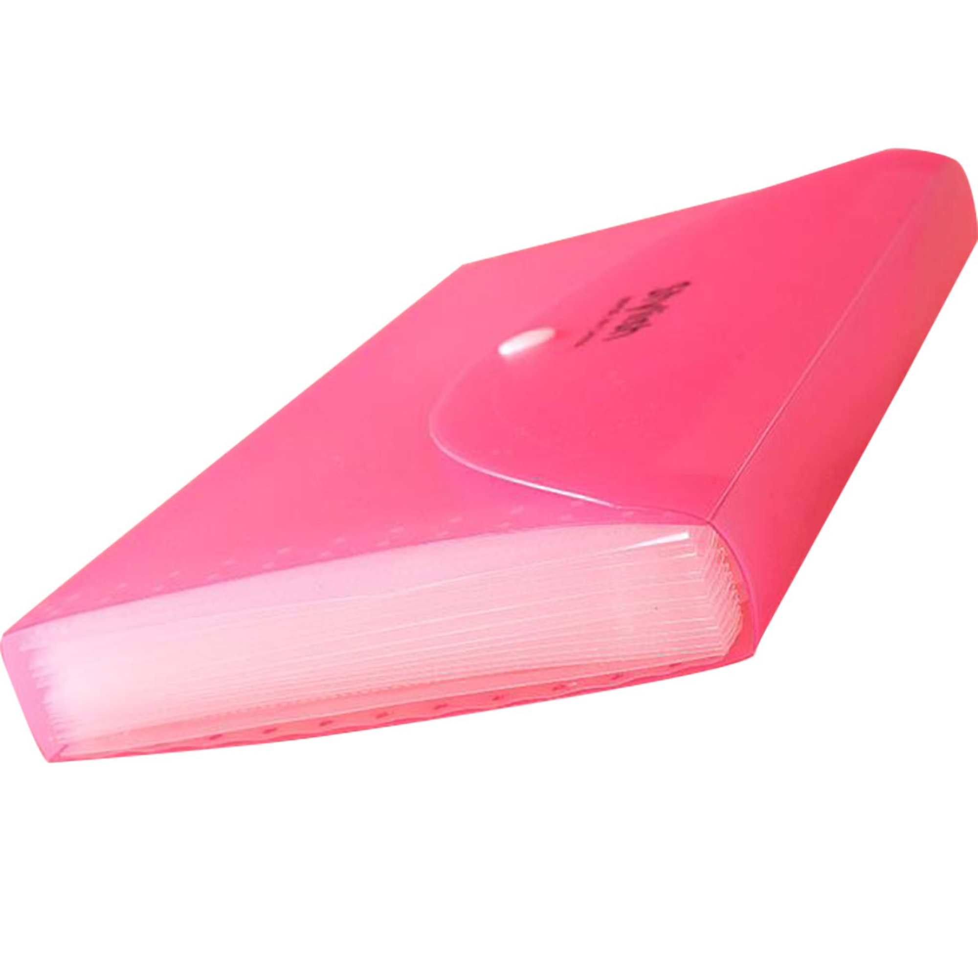 Multi-Layer Frosted Document Organizer Folder 4