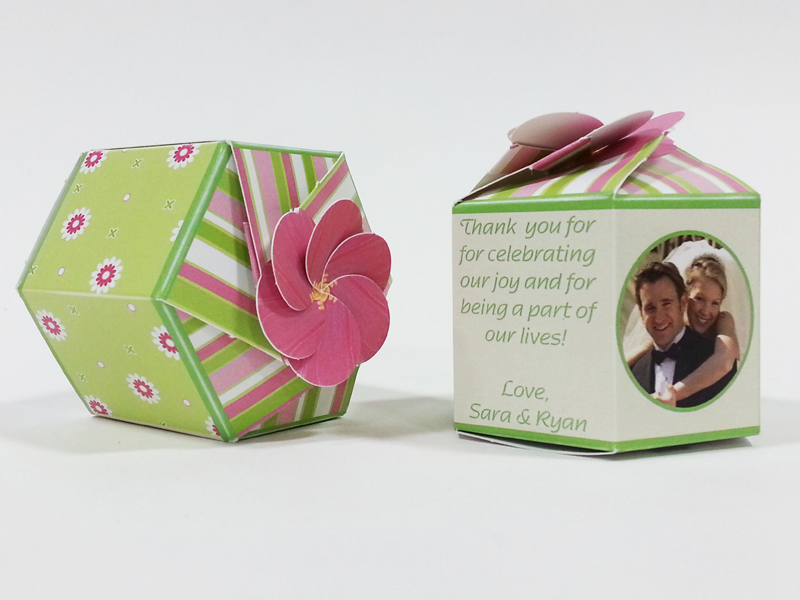 SeedGems Paper Planter with custom graphics - Biodegradable grow kit 7