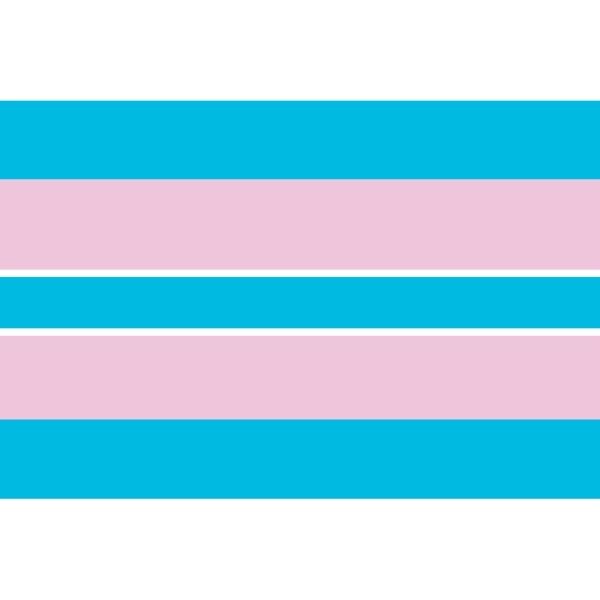 Transgender Flag 1