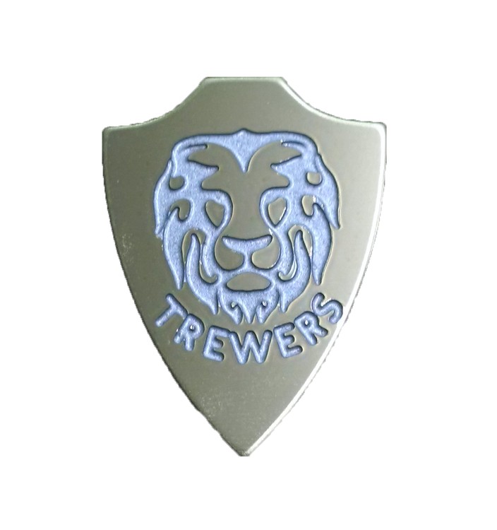 Shield 0.95" Polished Brass Etched Lapel Pin with Silver Color Fill - USA Made 2