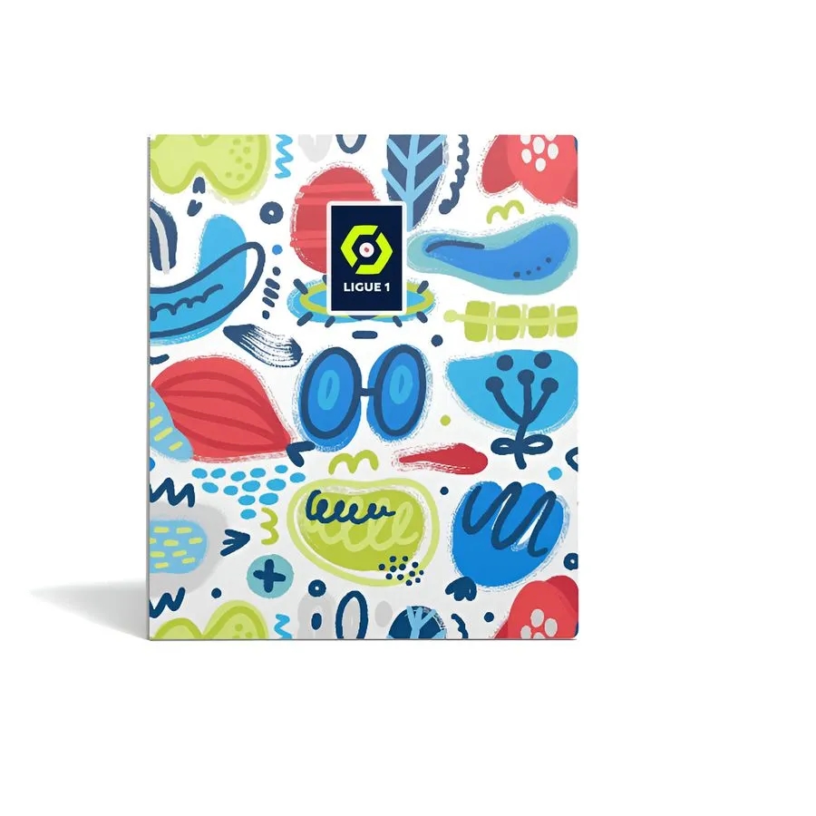 Plastic Binders 4