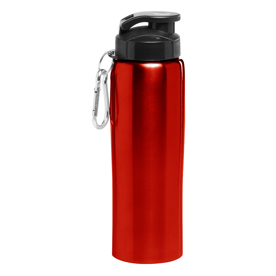 Stainless Steel Sports Water Bottle - with Carabiner, 27 oz. 2