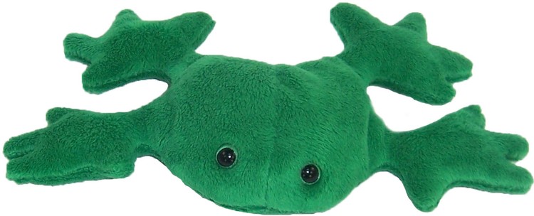 5" Custom Green Frog with imprinted sewn-in tag 2