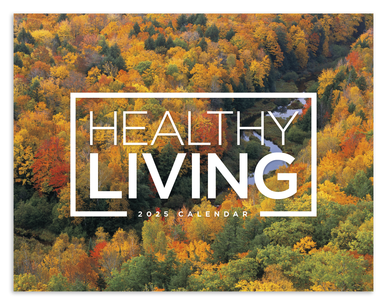 Good Value™ Healthy Living - Window Calendar 13