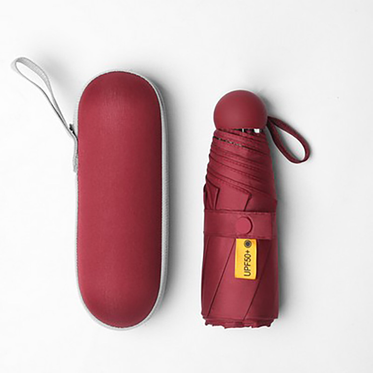 Folding Travel Umbrella with Capsule Case 5